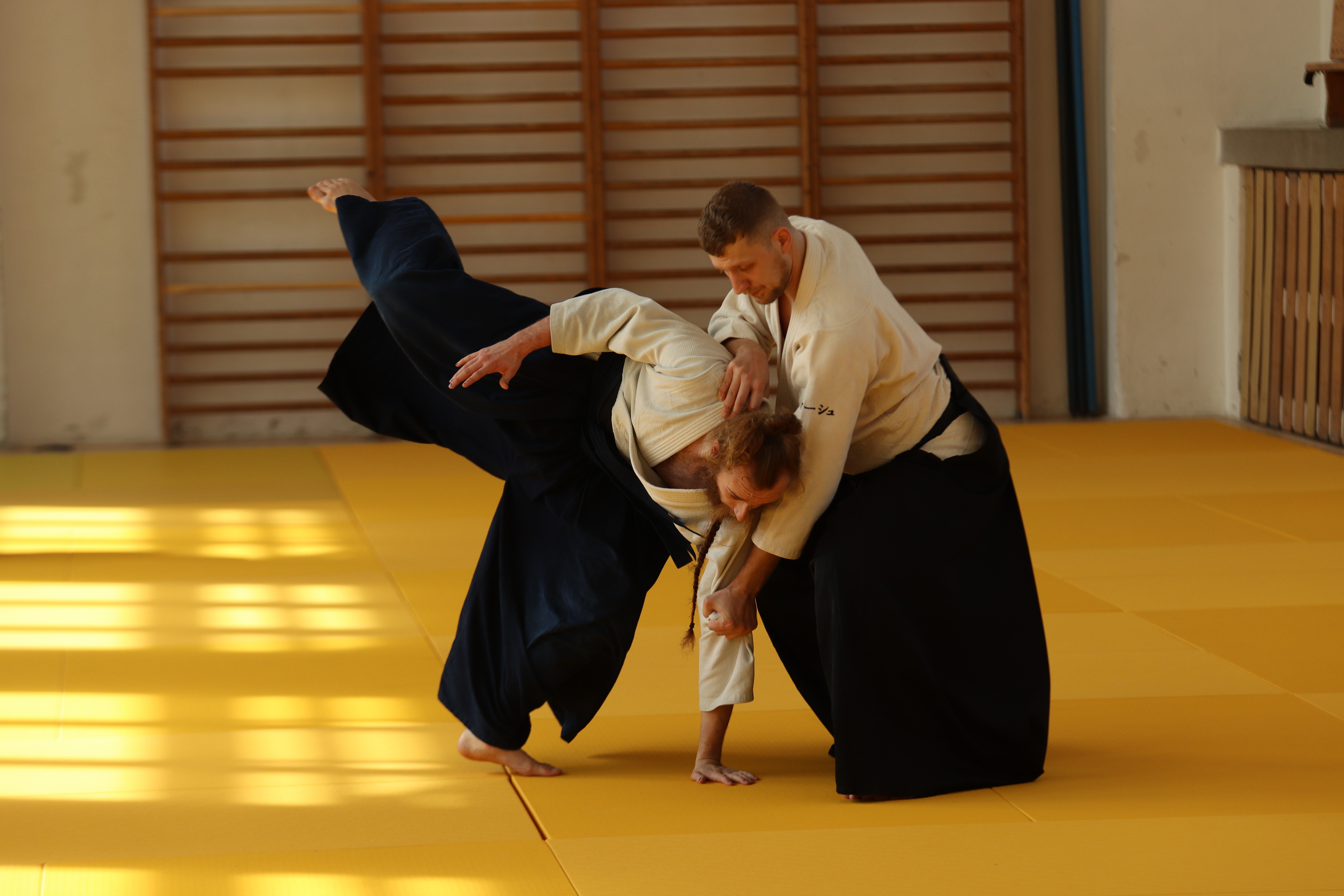 Japonské bojové umění Aikido (vystoupení + workshop přístupný i dětem)