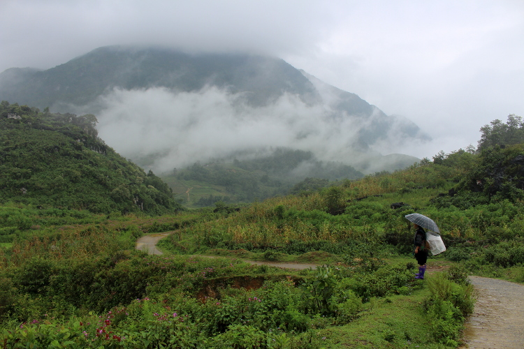 Vietnam – od severu k jihu