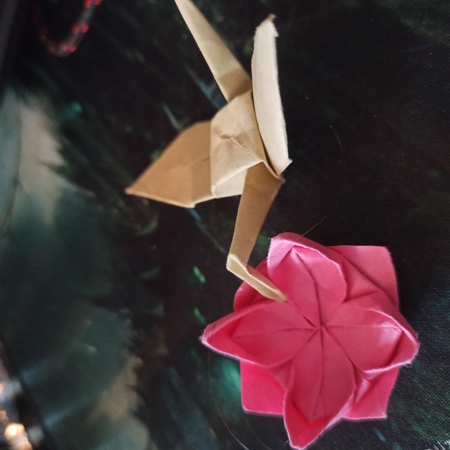 Origami pro začátečníky