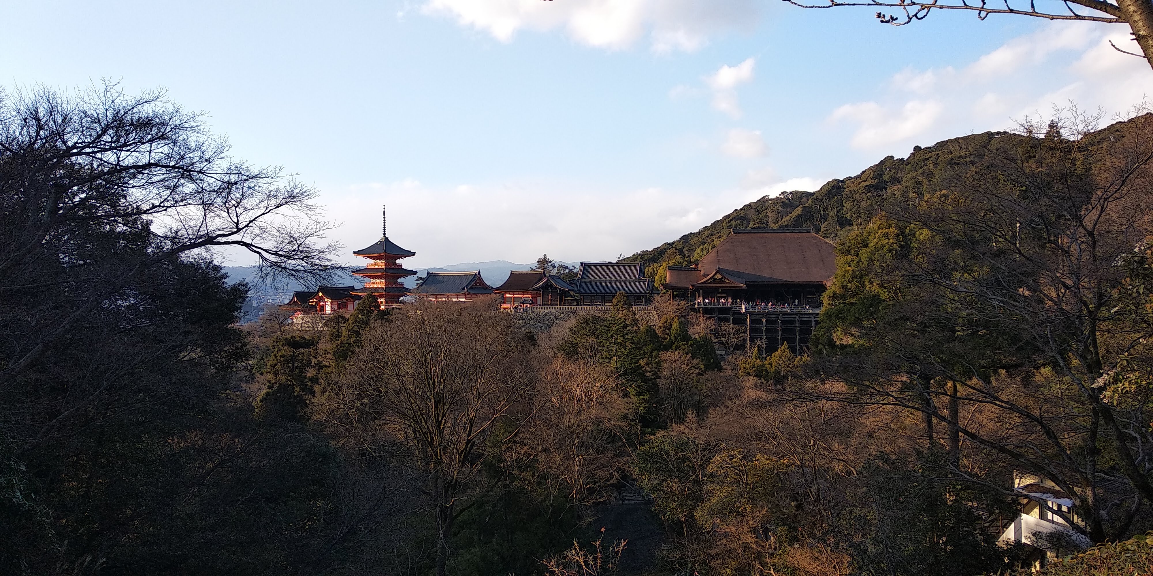 Working holiday - aneb jak přežít rok v Japonsku