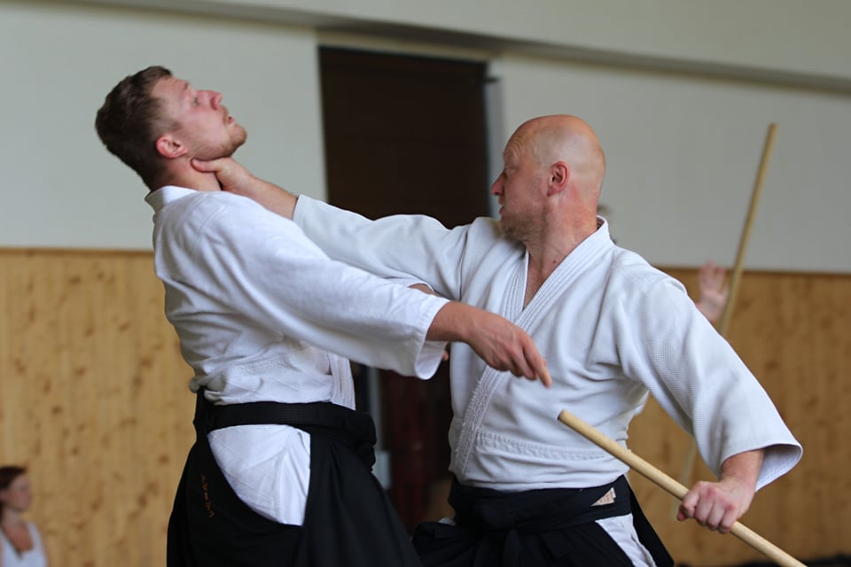 Aikido show 